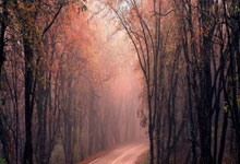 海港加速重建进行时:内援已定2人 洋枪正在路上.