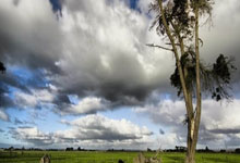 NBA宣布重磅交易 小牛东契奇湖人戴维斯互换东家.