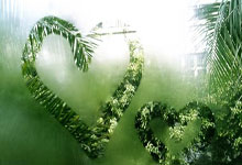 ued体育:19:35直播CBA:广东VS广厦 青岛VS新疆等6场.